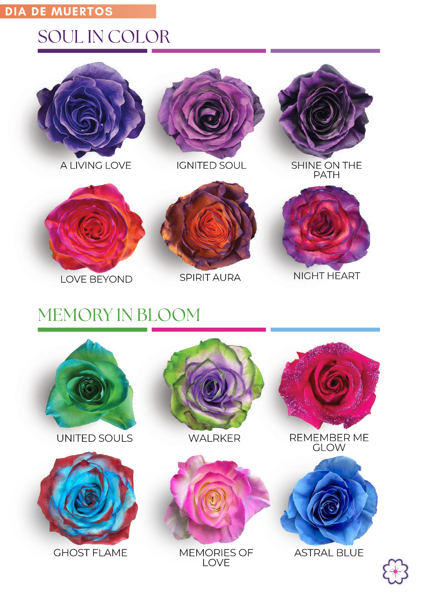 Día de Muertos collection page 1