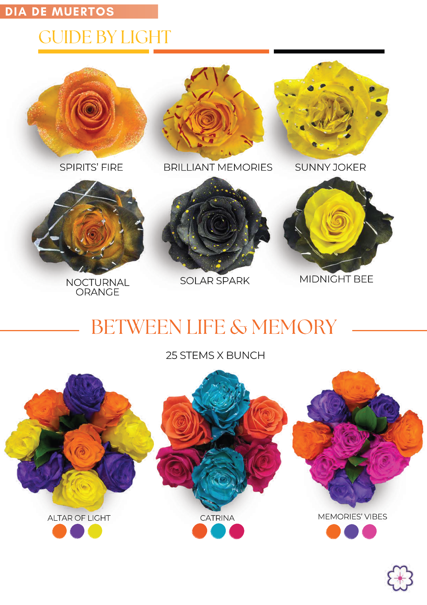 Día de Muertos collection page 2