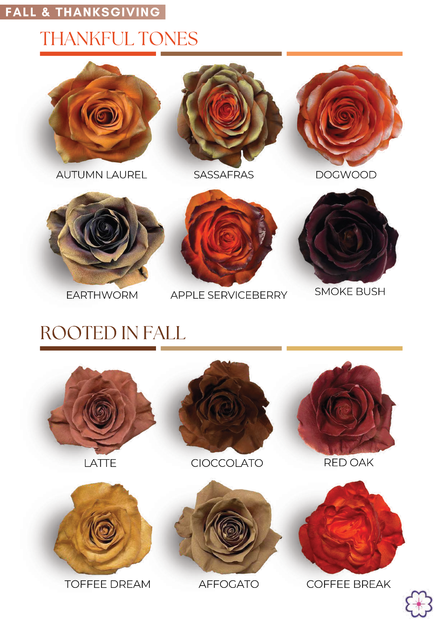 Fall & Thanksgiving collection page 1